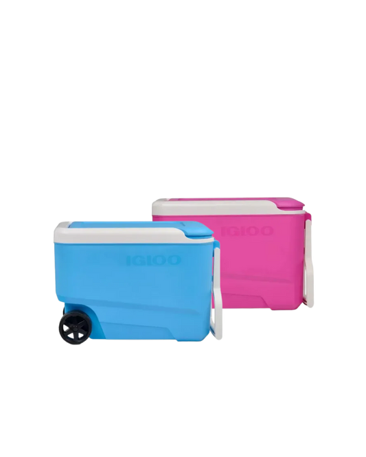 Hielera IGLOO 53 latas