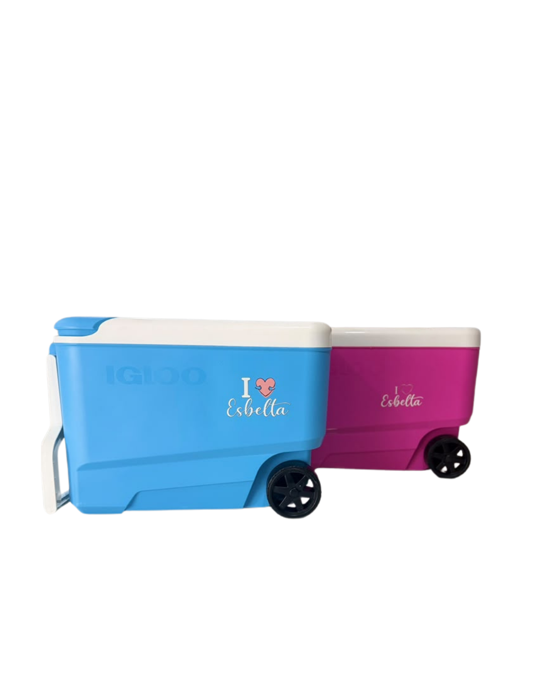 Hielera IGLOO 53 latas
