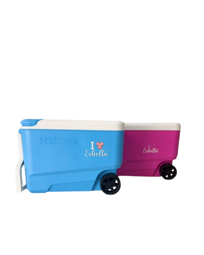 Hielera IGLOO 53 latas